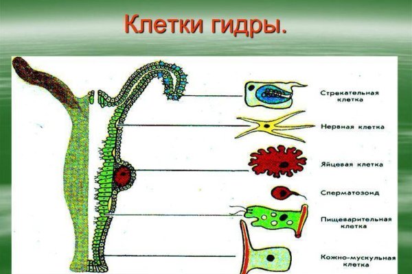 Как восстановить кракен