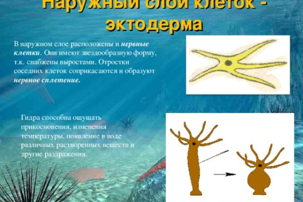 Рабочая ссылка на кракен в торе