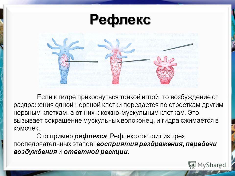 Кракен магазин наркоты